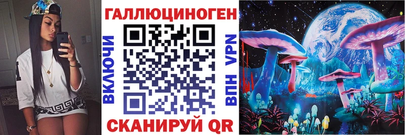 Галлюциногенные грибы Psilocybine cubensis  Сургут 
