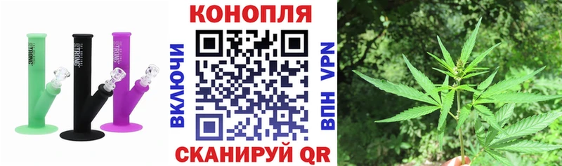 Бошки марихуана планчик Сургут